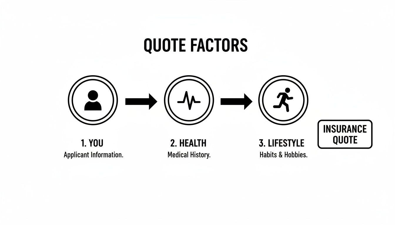 Infographic visualizing the key factors (age, health, lifestyle, occupation) that influence a life insurance quote.