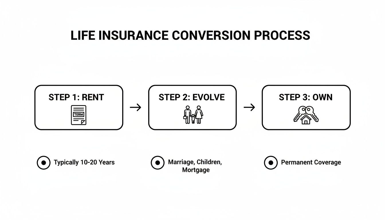 Diagram illustrating the three steps of the life insurance conversion process from term to permanent.