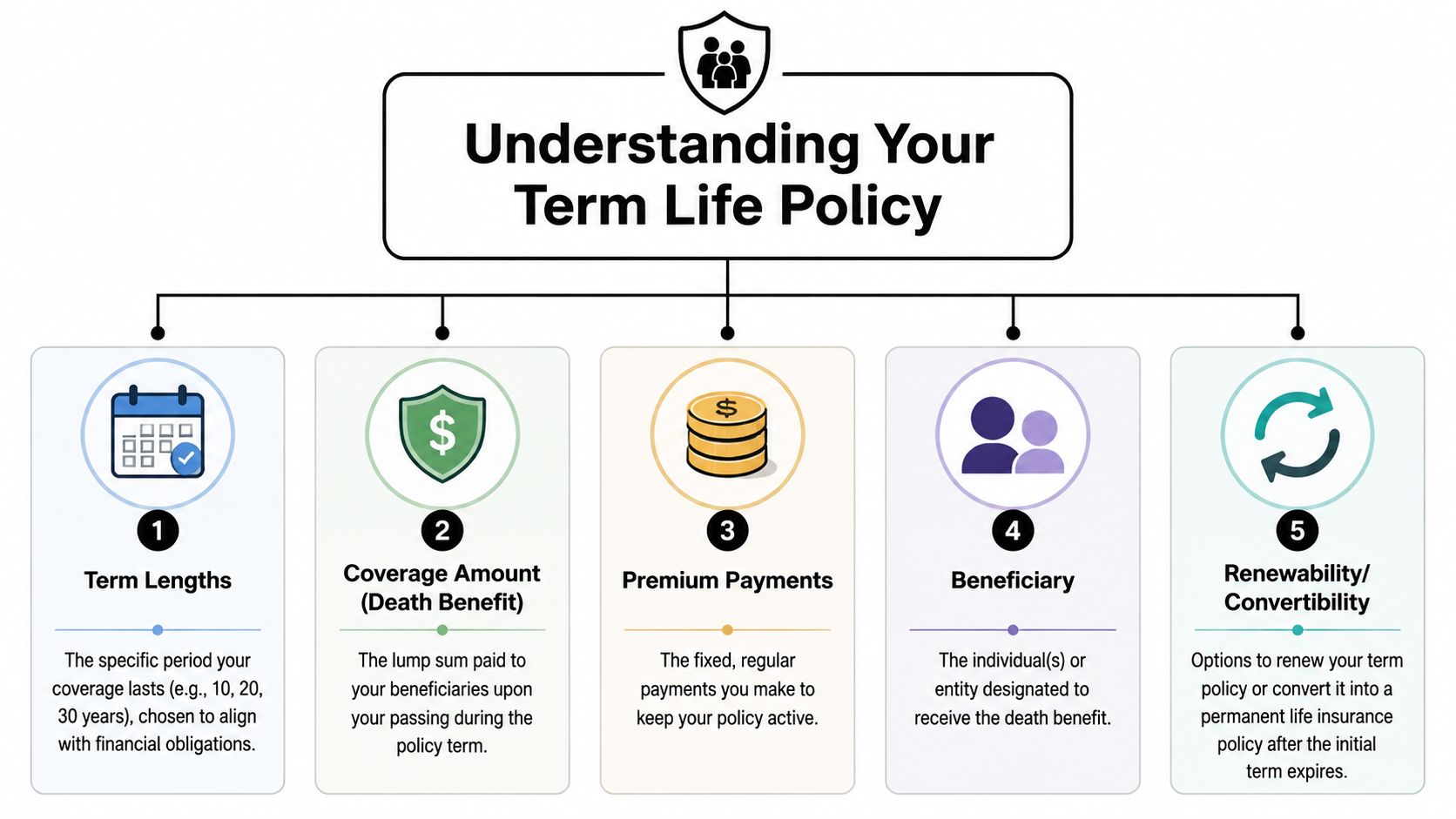 A diagram explaining the five key components of a term life insurance policy including benefits and coverage.