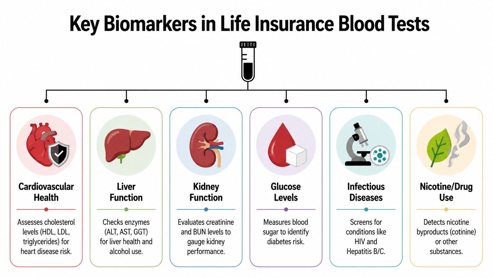 An infographic detailing six key biomarkers commonly tested in blood samples for life insurance applications.
