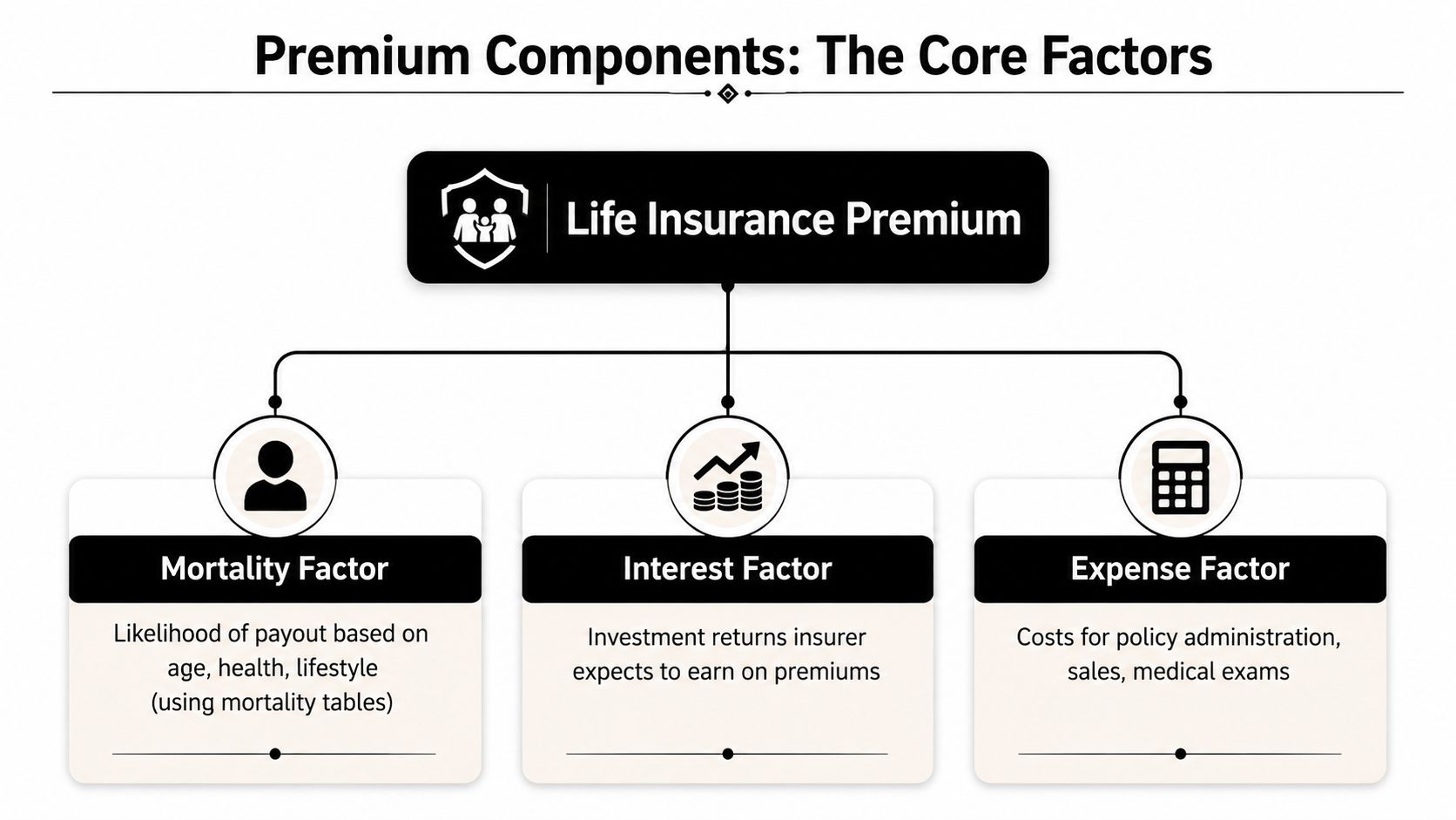 A diagram illustrating the three core components that determine the cost of a life insurance premium.